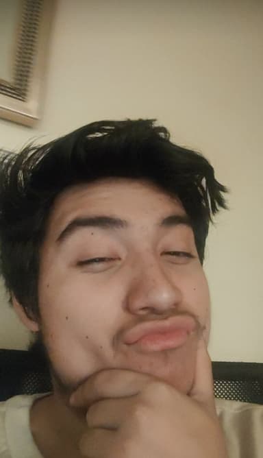 Profile Picture main user avatar