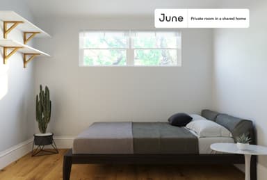 Place Preview main user avatar