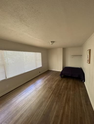 Place Preview main user avatar