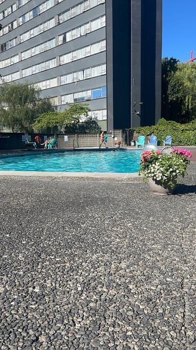 Place Preview main user avatar