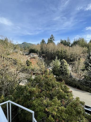 Place Preview main user avatar