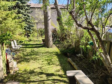 Place Preview main user avatar