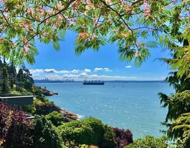 Place Preview main user avatar