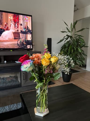 Place Preview main user avatar