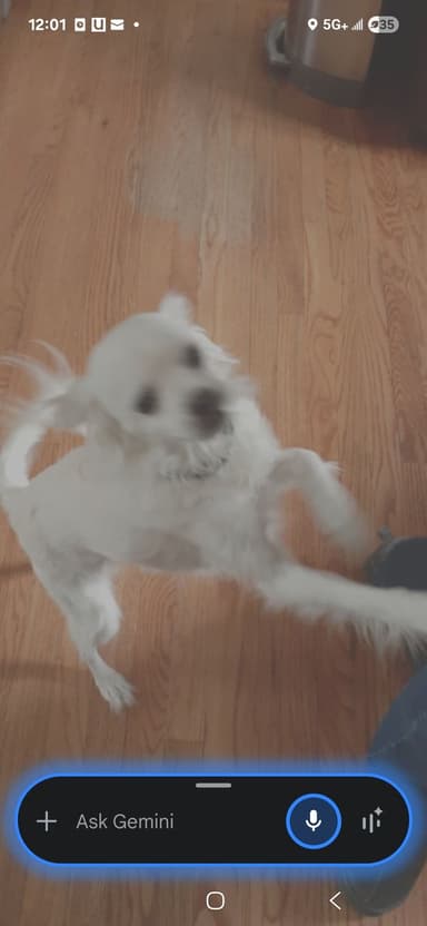 Profile Picture main user avatar