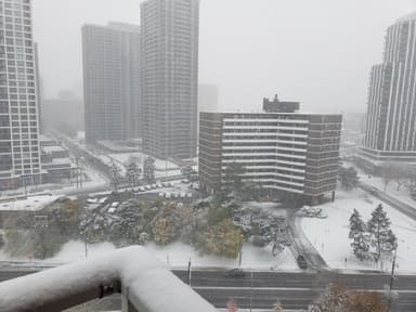 Place Preview main user avatar