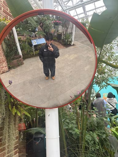 Profile Picture main user avatar