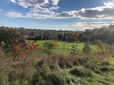 Place Preview main user avatar