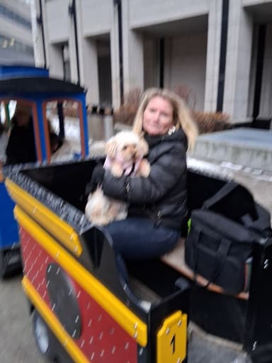 Profile Picture main user avatar