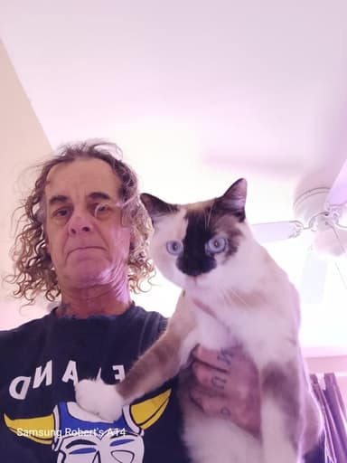 Profile Picture main user avatar