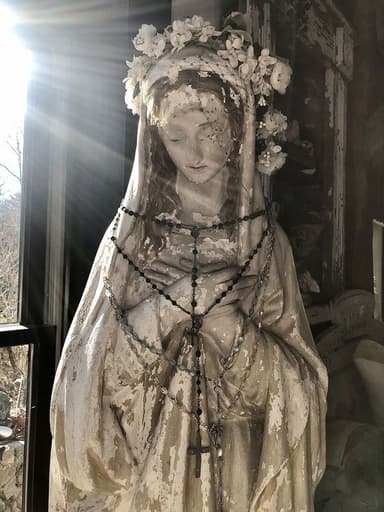 Profile Picture main user avatar