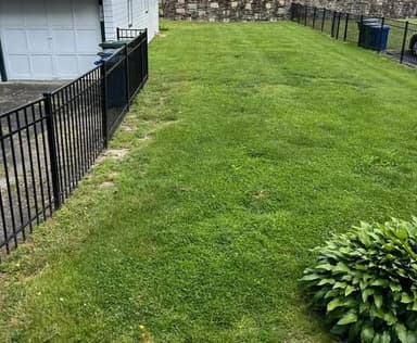 Place Preview main user avatar