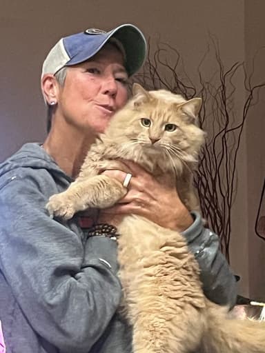 Profile Picture main user avatar