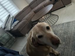 Dave