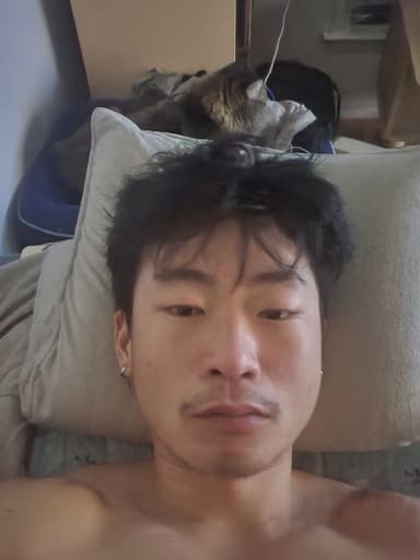 Profile Picture main user avatar