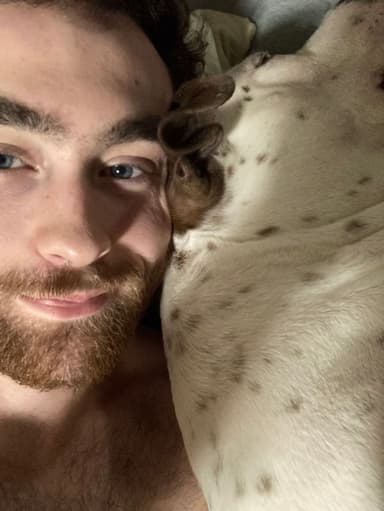 Profile Picture main user avatar