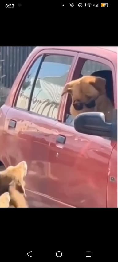 Profile Picture main user avatar