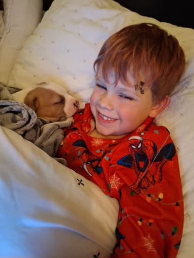 Profile Picture main user avatar