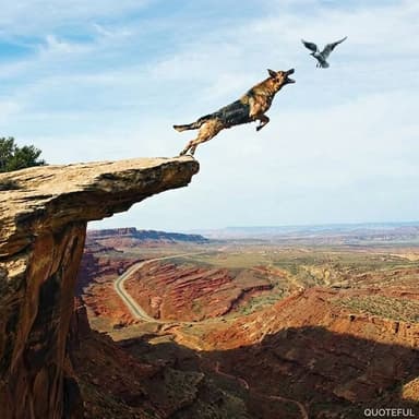 Profile Picture main user avatar