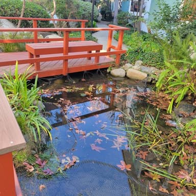 Place Preview main user avatar