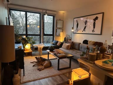 Place Preview main user avatar