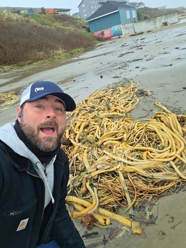 Profile Picture main user avatar