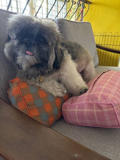 Profile Picture main user avatar