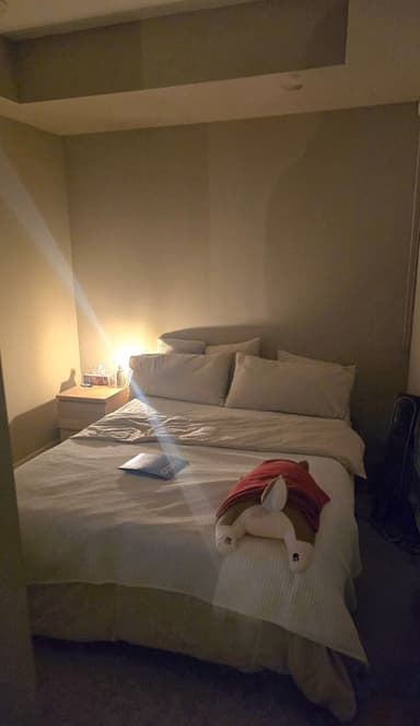 Place Preview main user avatar