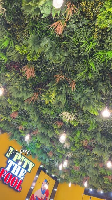 Profile Picture main user avatar