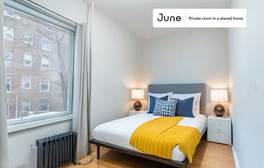 Place Preview main user avatar