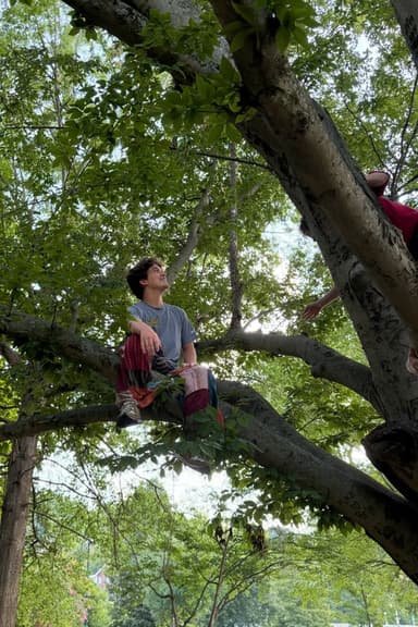 Profile Picture main user avatar