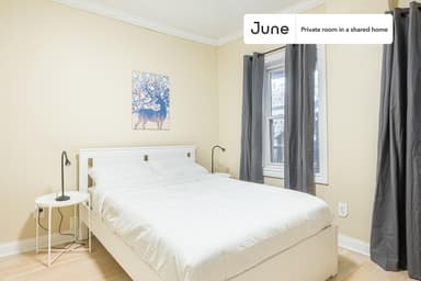 Place Preview main user avatar