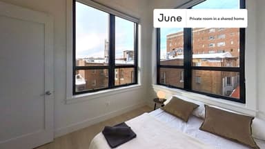 Place Preview main user avatar