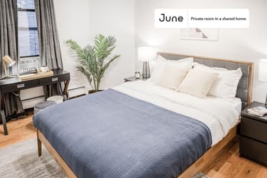 Place Preview main user avatar