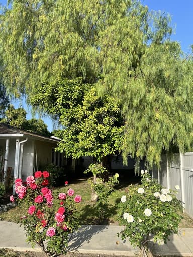 Place Preview main user avatar