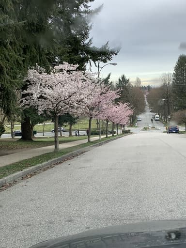 Place Preview main user avatar