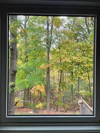 Place Preview main user avatar