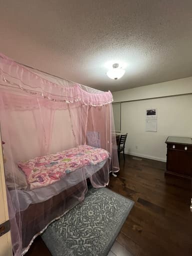 Place Preview main user avatar