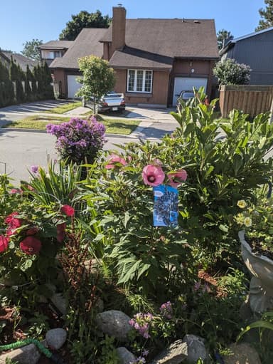 Place Preview main user avatar