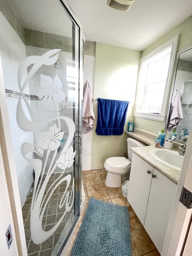 Place Preview main user avatar