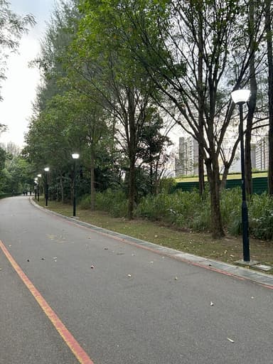 Place Preview main user avatar