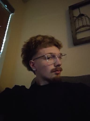 Profile Picture main user avatar