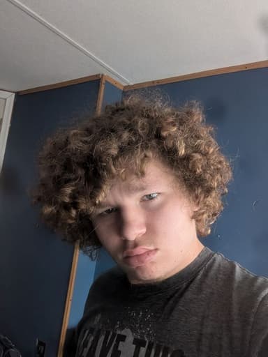 Profile Picture main user avatar