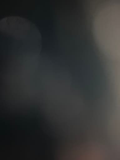 Profile Picture main user avatar