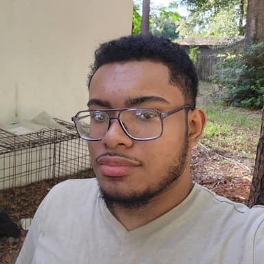 Profile Picture main user avatar