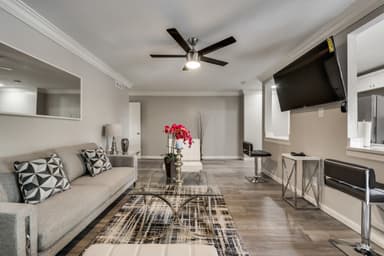 Place Preview main user avatar