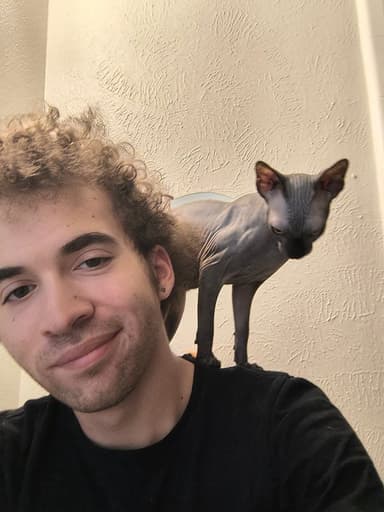 Profile Picture main user avatar