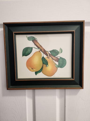 Place Preview main user avatar