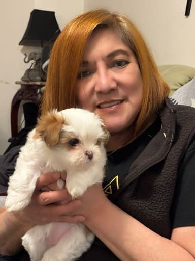 Profile Picture main user avatar