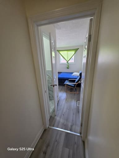 Profile Picture main user avatar